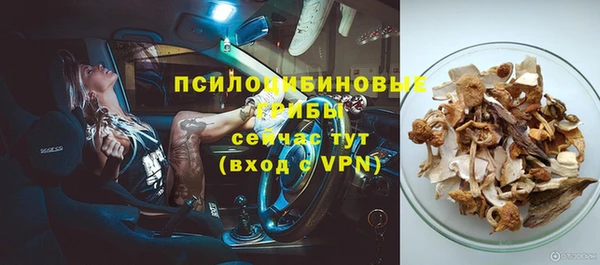 амф Костерёво