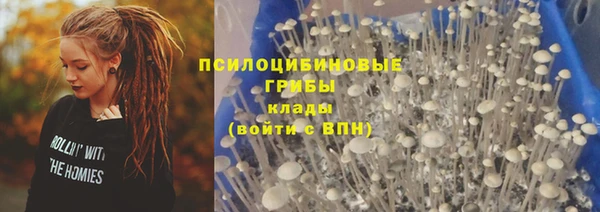 амф Костерёво